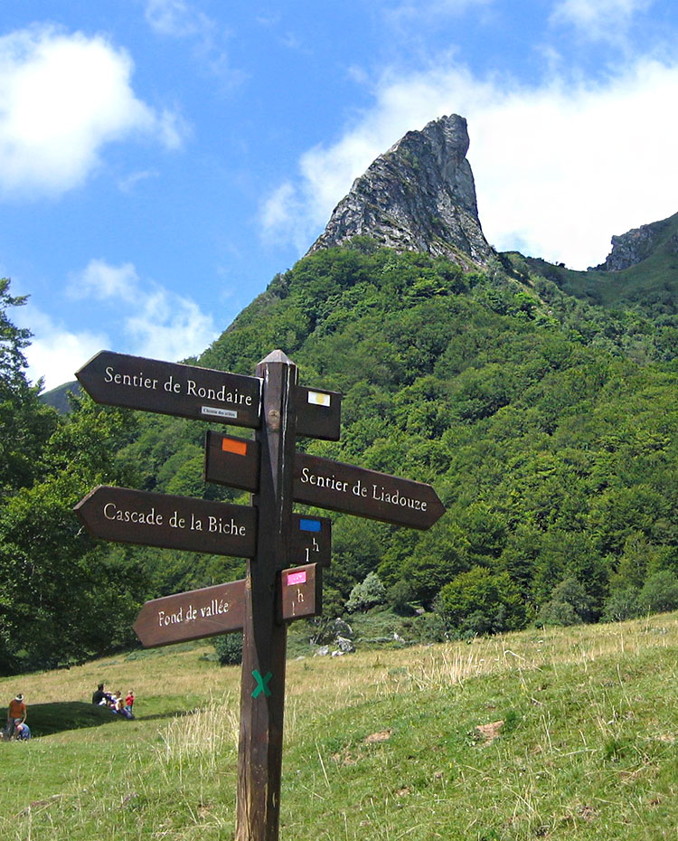 Lac Chambon natuur